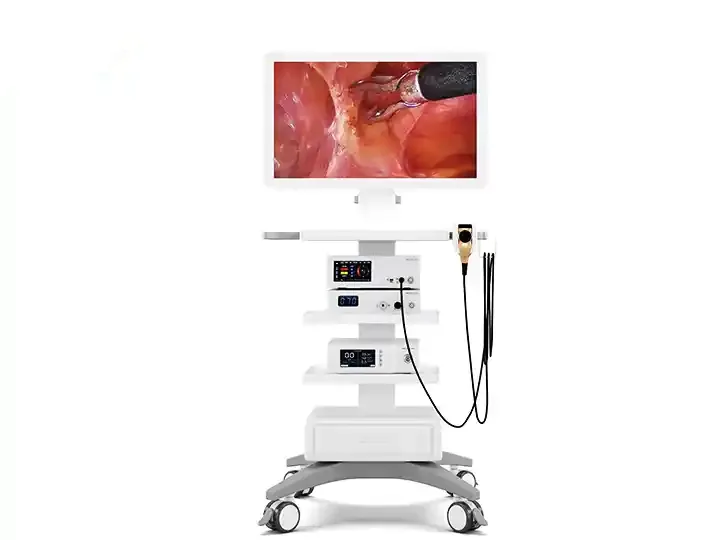 4K Medical Endoscope System