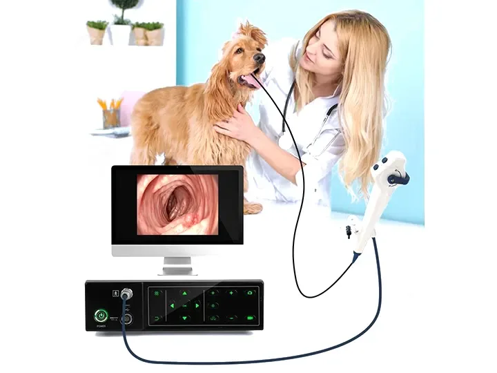 Pet HD Medical Endoscope machine